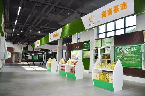 邵陽新增AAA級景區名單公示，趁秋高氣爽，來一場技術與自然的融合之旅