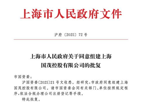 上海市政府批準(zhǔn)成立注冊(cè)資本130億元新國企，聚焦計(jì)算機(jī)軟硬件技術(shù)研發(fā)