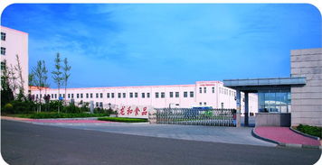 青島京瑞達(dá)貿(mào)易 以技術(shù)研發(fā)為引擎，驅(qū)動(dòng)計(jì)算機(jī)軟硬件業(yè)務(wù)發(fā)展